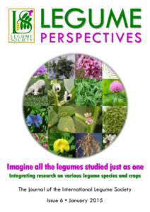 LEGUME PE RS P E C T IV E S Imagine all the legumes studied just as one Integrating research on various legume species and crops The journal of the International Legume Society