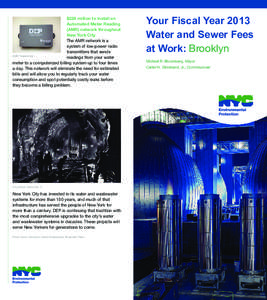 $228 million to install an Automated Meter Reading (AMR) network throughout New York City The AMR network is a system of low-power radio