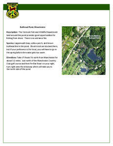 Bullhead Pond, Manchester Description: The Vermont Fish and Wildlife Department land around the pond provides good opportunities for ﬁshing from shore. There is no entrance fee. Species: Largemouth bass, yellow perch, 