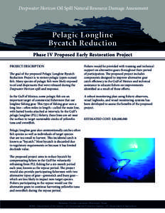 Deepwater Horizon Oil Spill Natural Resource Damage Assessment  Pelagic Longline Bycatch Reduction Phase IV Proposed Early Restoration Project PROJECT DESCRIPTION