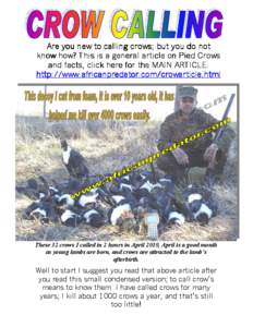 Are you new to calling crows; but you do not know how? This is a general article on Pied Crows and facts, click here for the MAIN ARTICLE. http://www.africanpredator.com/crowarticle.html  These 32 crows I called in 2 hou