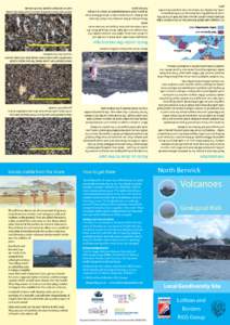 Volcanology / Volcanic rocks / Igneous rocks / Plate tectonics / Lava / Basalt / Volcano / Agglomerate / Tuff / Geology / Petrology / Igneous petrology
