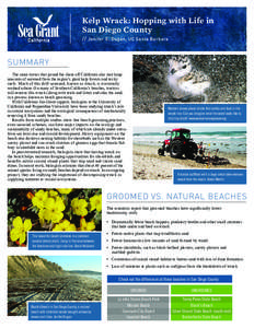 Kelp Wrack: Hopping with Life in San Diego County // Jenifer E. Dugan, UC Santa Barbara SUMMARY 	 The same waves that pound the shore off California also tear large