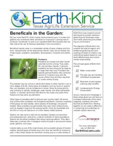 Beneficals in the Garden:  Did you know that 97% of the insects most commonly seen in homes and gardens are considered either beneficial or innocuous? Learning how to put these “beneficials” to work is an important E
