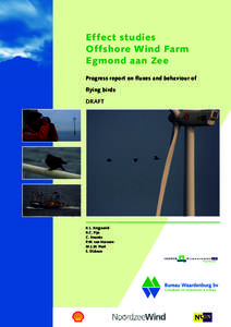 Effect studies Offshore Wind Farm Egmond aan Zee Progress report on fluxes and behaviour of flying birds DRAFT