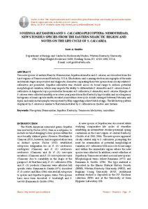     Grubbs, Scott A. 2006. Soyedina alexandria and S. calcarea (Plecoptera: Nemouridae), new stonefly species from the eastern 