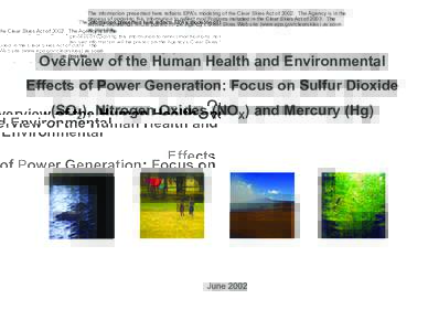 Overview of the Human Health and Environmental Effects of Power Generation: Focus on Sulfur Dioxide (SO2), Nitrogen Oxides (NOX) and Mercury (Hg)