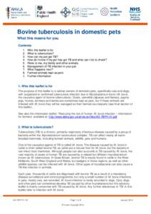      Bovine tuberculosis in domestic pets