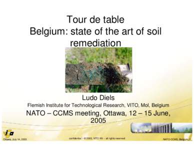 Tour de table Belgium: state of the art of soil remediation Ludo Diels Flemish Institute for Technological Research, VITO, Mol, Belgium