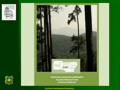 Shortleaf Pine-Bluestem Restoration  The Ouachita National Forest -1.8 million acres -west-central Arkansas -southeast Oklahoma