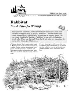 Wildlife and Your Land a series about managing your land for wildlife Rabbitat Brush Piles for Wildlife Have you ever watched a startled rabbit dart across your yard and