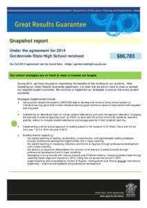 Snapshot report template - Great results guarantee