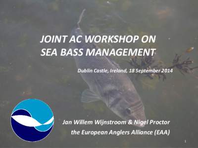 JOINT AC WORKSHOP ON SEA BASS MANAGEMENT Dublin Castle, Ireland, 18 September 2014 Jan Willem Wijnstroom & Nigel Proctor the European Anglers Alliance (EAA)