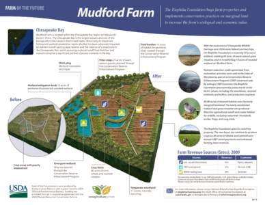 Mudford Farm  FARM OF THE FUTURE The Biophilia Foundation buys farm properties and