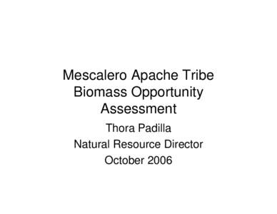 Mescalero Apache Tribe - Biomass Opportunity Assessment