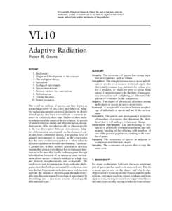 © Copyright, Princeton University Press. No part of this book may be distributed, posted, or reproduced in any form by digital or mechanical means without prior written permission of the publisher. VI.10 Adaptive Radiat