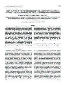 1195  The Journal of Experimental Biology 202, 1195–[removed])