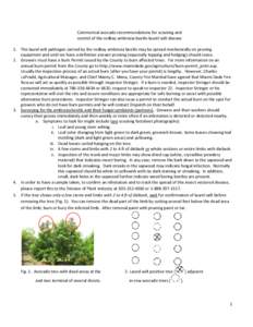 Commercial avocado recommendations for scouting and control of the redbay ambrosia beetle-laurel wilt disease 1. The laurel wilt pathogen carried by the redbay ambrosia beetle may be spread mechanically on pruning equipm