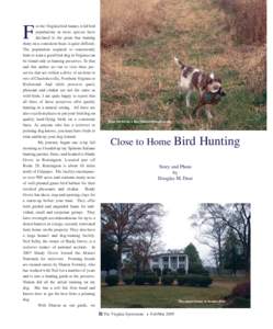 or the Virginia bird hunter, wild bird populations in most species have declined to the point that hunting them on a consistent basis is quite difficult. The population required to consistently hunt or train a good bird 