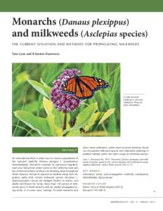 Monarchs (Danaus plexippus) and milkweeds (Asclepias species): The current situation and methods for propagating milkweeds