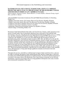 BASTIMENTOS ISLAND NATIONAL MARINE PARK AND PLAYA CHIRIQU: PROTECTED AREAS VITAL TO THE RECOVERY OF THE HAWKSBILL TURTLE (ERETMOCHELYS IMBRICATA) IN CARIBBEAN PANAMA