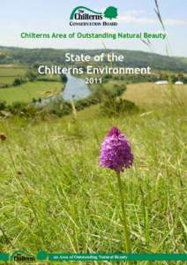 Areas of Outstanding Natural Beauty in England / Environmental Stewardship / Geology of England / Area of Outstanding Natural Beauty / Chiltern Hills / Countryside Stewardship Scheme / Environmental management scheme / Downland / Natural England / Counties of England / Geography of England / Geography of the United Kingdom