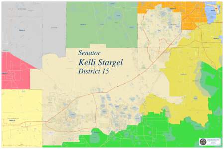 Florida State Senate, Poster Size Maps