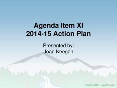 Agenda Item XI[removed]Action Plan Presented by: Joan Keegan  Overview