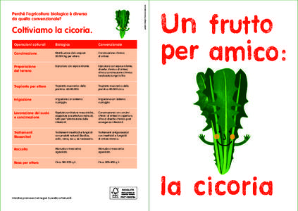 graphic design Francesca Spinazzé  Perché l’agricoltura biologica è diversa da quella convenzionale?  Coltiviamo la cicoria.