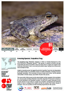 © Jan Van Der Voort  Amazing Species: Karpathos Frog The Karpathos Frog, Pelophylax cerigensis, is listed as Critically Endangered on the IUCN Red List of Threatened SpeciesTM. This species is endemic to Greece and was 