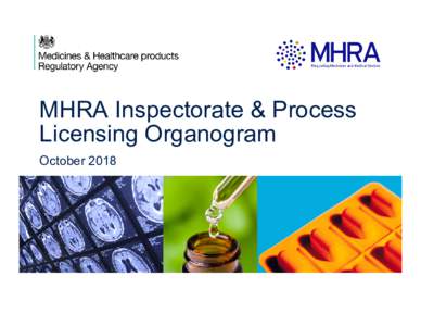 Microsoft PowerPoint - MHRA Inspectorate Organogram - October 18