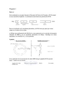 Pregunta 1 Parte A Está estudiando un receptor llamado el Receptor del Factor del Tamaño o SF-R situado en una eucariótica haploide. A continuación encontrará una proteína del SF-R:  Para ser localizado en la membr