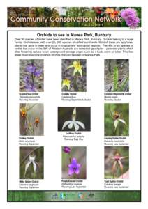 General Common Orchids of Manea Park Fact Sheet Community Conservation Network