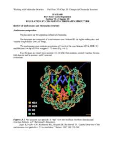 Working with Molecular Genetics  Part Four, VI=Chpt. 20. Changes in Chromatin Structure B M B 400 Part Four: Gene Regulation