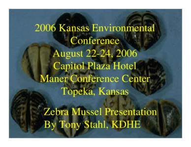 Zebra Mussel Prevention at Lake Powell