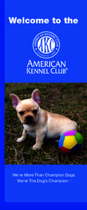 Welcome to the American Kennel Club