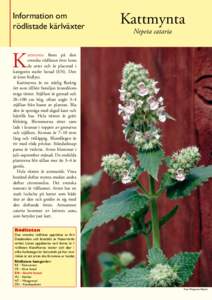 Information om rödlistade kärlväxter Kattmynta Nepeta cataria