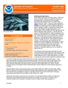 Species of Concern  Pacific hake NOAA National Marine Fisheries Service