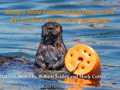 Being a Male California Sea Otter in the 21st Century: the Story of an Estuary