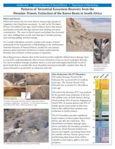 Smithsonian  National Museum of Natural History  Department of Paleobiology  Patterns of Terrestrial Ecosystem Recovery from the Permian-Triassic Extinction of the Karoo Basin in South Africa Plants and Insects Plant