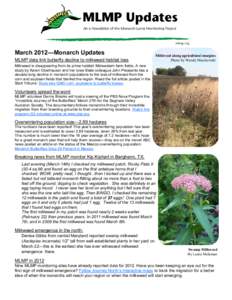 March 2012—Monarch Updates MLMP data link butterfly decline to milkweed habitat loss Milkweed along agricultural margins Photo by Wendy Macziewski