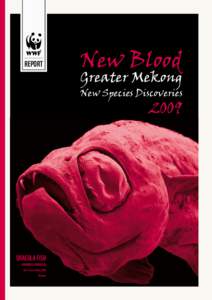 REPORT  New Blood Greater Mekong