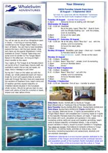 Whaling / Tonga / Humpback whale / Whale / Earth / Water / Pacific Ocean / Baleen whales / Whale watching