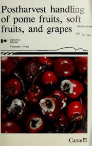 Postharvest handling of pome fruits, soft fruits, and grapes