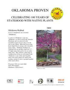 OKLAHOMA PROVEN CELEBRATING 100 YEARS OF STATEHOOD WITH NATIVE PLANTS TREE  Oklahoma Redbud