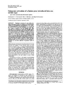 Proc. Nati. Acad. Sci. USA Vol. 84, pp[removed], January 1987 Developmental Biology  Ontogenic activation of a fusion gene introduced into sea