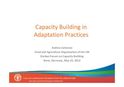 Capacity Building in  Adaptation Practices Andrea Cattaneo Food and Agriculture Organization of the UN Durban Forum on Capacity Building Bonn, Germany, May 22, 2012