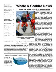 Spring 2004 Inside this issue: Whale & Seabird News  Harbour Porpoises: