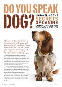 Do You Speak  Dog? Unraveling the