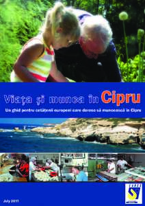 July 2011  Introducere Cipru este a treia insulă ca mărime din bazinul mediteraneankm pătraţi) şi este situată în extrema nord-estică la